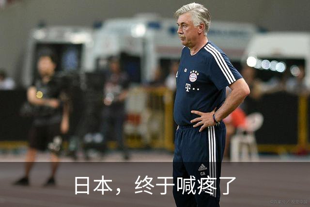 日本，终于喊疼了