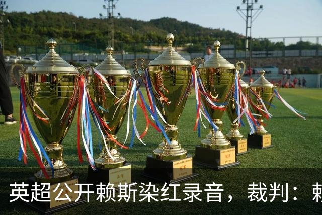 英超公开赖斯染红录音，裁判：赖斯你让我很难做